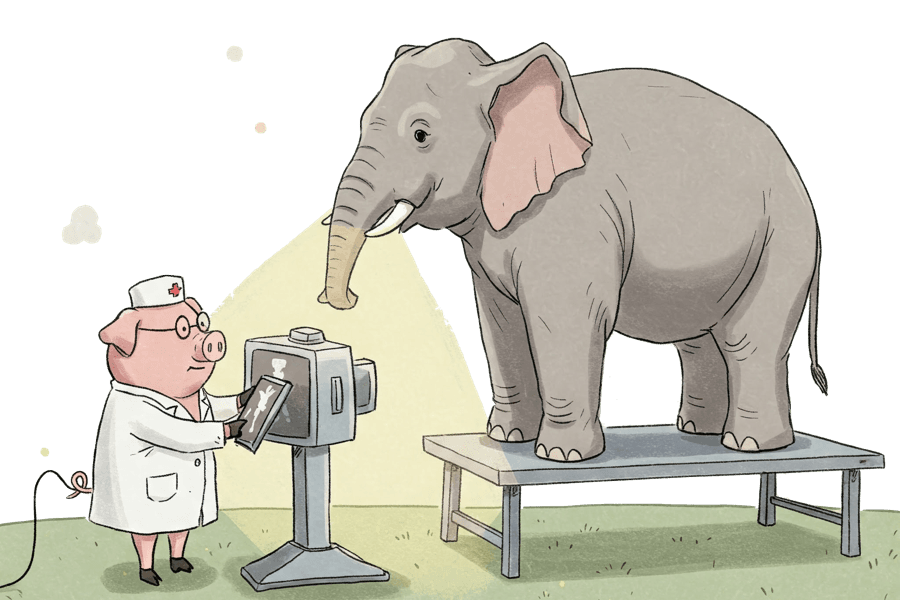 Expert Support: Top experts backing you